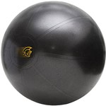 Assistência Técnica e Garantia do produto Fit Ball Training Pretorian Performance 55 - FBT55 PP