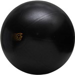 Assistência Técnica e Garantia do produto Fit Ball Training Pretorian Performance 65 - FBT65 PP