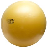 Assistência Técnica e Garantia do produto Fit Ball Training Pretorian Performance 75 - FBT75 PP