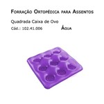 Assistência Técnica e Garantia do produto Forrações de Assento - Caixa de Ovo Quadrada (água) - Bioflorence - Cód: 102.0006