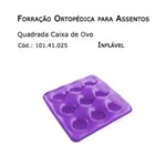 Assistência Técnica e Garantia do produto Forrações de Assento - Caixa de Ovo Quadrada (inflável) - Bioflorence - Cód: 101.0025