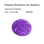 Assistência Técnica e Garantia do produto Forrações de Assento - Caixa de Ovo Redonda (inflável) - Bioflorence - Cód: 101.0026