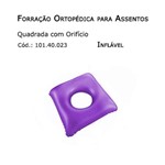 Assistência Técnica e Garantia do produto Forrações de Assento - Quadrada com Oríficio (inflável) - Bioflorence - Cód: 101.0023