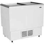 Assistência Técnica e Garantia do produto Freezer Horizontal Venax FVTV300 - 2 Portas 300L Branco