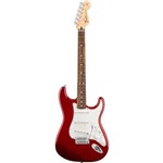 Assistência Técnica e Garantia do produto Guitarra Stratocaster STD 509 RW Fender
