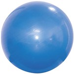 Assistência Técnica e Garantia do produto Gym Ball 65 Cm Azul