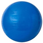 Assistência Técnica e Garantia do produto Gym Ball 65cm com Bomba de Ar - Acte Sports