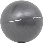 Assistência Técnica e Garantia do produto Gym Ball 75cm com Bomba - Vollo Sports