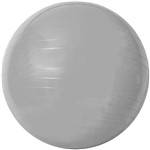 Assistência Técnica e Garantia do produto Gym Ball C/ Bomba de Ar 55cm Prata - Acte Sports