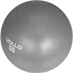 Assistência Técnica e Garantia do produto Gym Ball Vollo Sports 55cm com Bomba Acácia