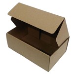 Assistência Técnica e Garantia do produto Kit com 50 Caixas de Papelão 24 X 15 X 8,5 Cm para Correios e Transporte de Encomendas