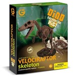 Assistência Técnica e Garantia do produto Kit Escavação Dino - Velociraptor - Geoworld