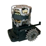 Assistência Técnica e Garantia do produto Kit Motor Rossi Dz Nano Turbo Deslizante 110v 400kgs Portao Automatico