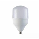 Assistência Técnica e Garantia do produto Lampada Hp Led 30w Llum