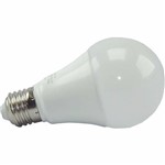 Assistência Técnica e Garantia do produto Lampadas Led 18w Bulbo A60 Econômica Bivolt E27 Branco Frio