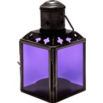 Assistência Técnica e Garantia do produto Lanterna Vidro/Metal Lilás - Venus Victrix