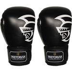 Assistência Técnica e Garantia do produto Luva de Boxe Trainning Preta 12OZ - Pretorian