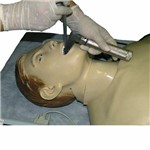 Assistência Técnica e Garantia do produto Manequim para Treino em Enfermagem e Rcp - Anatomic - Tzj-0526