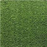 Assistência Técnica e Garantia do produto Medida 2,00 X 5,00m - Grama Sintética Softgrass 12mm - Verde