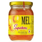 Assistência Técnica e Garantia do produto Mel Natural 330gr - Superbom