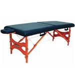 Assistência Técnica e Garantia do produto Mesa de Massagem Portátil Standard - Beltex