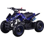 Assistência Técnica e Garantia do produto Mini Quadriciclo ATV BULL BK-502 49Cc 2T Azul - Bull Motors