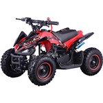 Assistência Técnica e Garantia do produto Mini Quadriciclo ATV Bull BK-502 49CC Vermelho Bull Motors