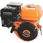 Assistência Técnica e Garantia do produto Motor Estacionário Gasolina 4t Vm 160 5,5hp 163cc - Vulcan