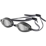 Assistência Técnica e Garantia do produto Óculos Velocity Prata/Cristal - Speedo