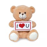 Assistência Técnica e Garantia do produto Pelúcia Urso Plaquinha I Love You Buba Toys