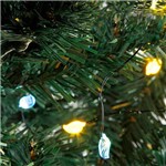 Assistência Técnica e Garantia do produto Pisca Luz Brilhante 20 Lâmpadas Passarinhos - Christmas Traditions