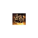 Assistência Técnica e Garantia do produto Pisca Pisca Arroz 100 Mini Lâmpadas Incandescente Brancas 127v 8 Funções Art Christmas