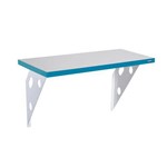 Assistência Técnica e Garantia do produto Prateleira Color Suporte Metalico 120x25x1,5 Azul