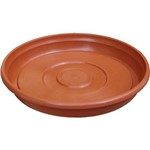 Assistência Técnica e Garantia do produto Prato Terracota 22cm - West Garden