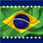 Assistência Técnica e Garantia do produto Quadro Copa Mundo Bandeira (30x30x2,7cm) - Uniart