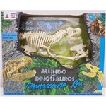 Assistência Técnica e Garantia do produto Rex Esqueleto Mundo dos Dinossauros - Abrakidabra 7274