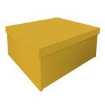 Assistência Técnica e Garantia do produto Sapateira Box Baú Caixa Organizadora para Sapatos - Amarelo Laca