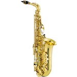 Assistência Técnica e Garantia do produto Saxofone Alto C/ Estojo de Madeira - JAS565GL - Jupiter