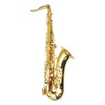 Assistência Técnica e Garantia do produto Saxofone Sax Tenor Dolphin Bb Sib Laqueado Dourado