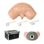 Assistência Técnica e Garantia do produto Simulador de Exame de Próstata - Anatomic - Código: Tgd-4063