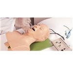 Assistência Técnica e Garantia do produto Simulador para Treino de Intubação Adulto com Dispositivo de Controle - Anatomic - Tgd-4007