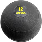 Assistência Técnica e Garantia do produto Slam Ball 12kg - Ziva