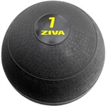 Assistência Técnica e Garantia do produto Slam Ball 7kg - Ziva