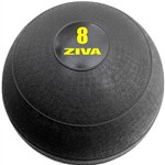 Assistência Técnica e Garantia do produto Slam Ball 8kg - Ziva