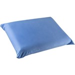 Assistência Técnica e Garantia do produto Travesseiro Látex Lavável Sintético Frostygel - Fibrasca