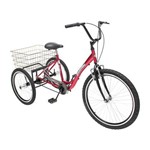Assistência Técnica e Garantia do produto Triciclo Deluxe Rebaixado Vermelho Dream Bike