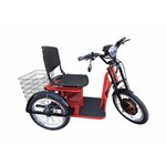 Assistência Técnica e Garantia do produto Triciclo Elétrico 850W Scooter Brasil