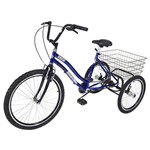 Assistência Técnica e Garantia do produto Triciclo Pedal Twice AZUL Aro 26 - Dream Bike