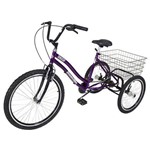 Assistência Técnica e Garantia do produto Triciclo Pedal Twice Roxo Aro 26 - Dream Bike