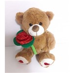 Assistência Técnica e Garantia do produto Urso de Pelúcia com Rosa - 23cm - Zimex